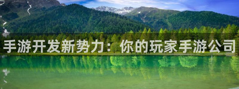 28大神结果查询