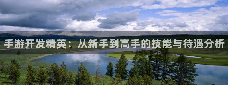 pc火狐电竞下载：手游开发精英：从新手到高手的技能与待遇分析